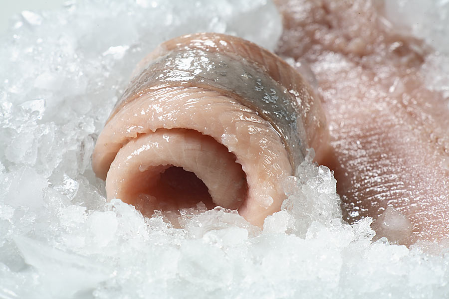 Foodfotografie - Fisch auf Eis